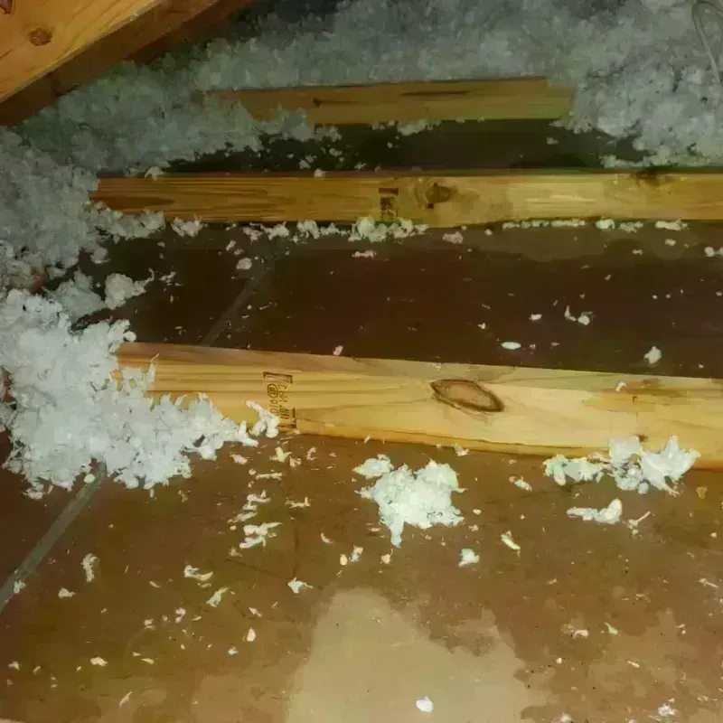 Attic Water Damage in Harlan County, KY